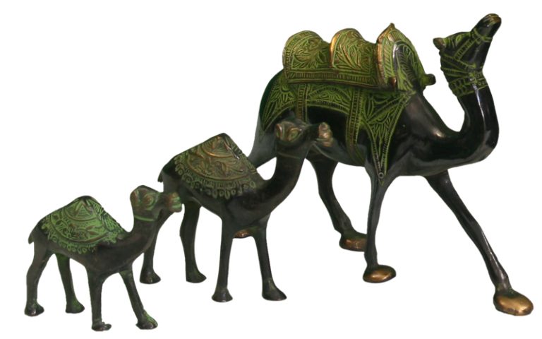 BRASS CAMEL